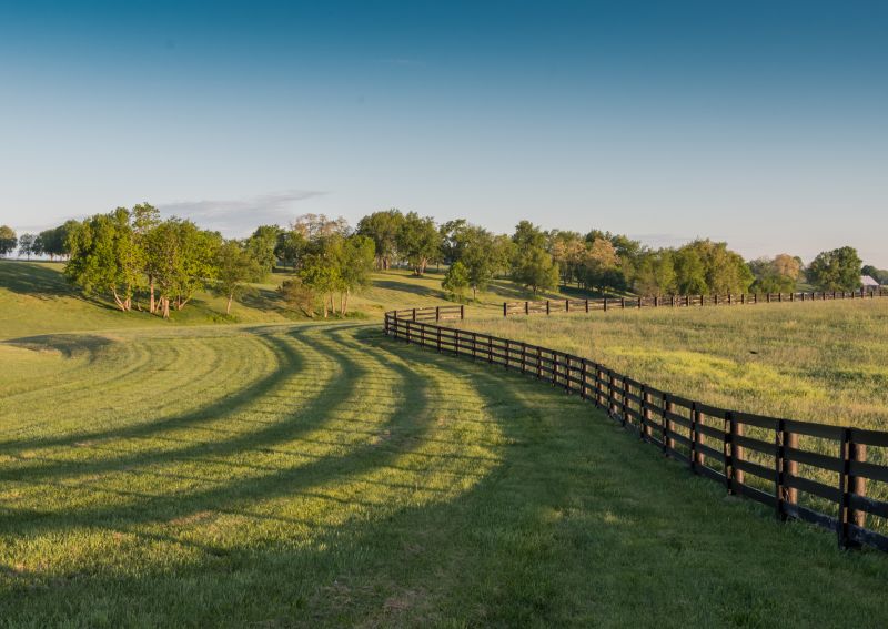 Pasture Fence Repair detail